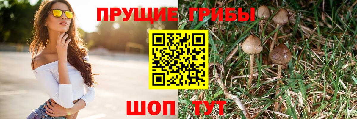 Псилоцибиновые грибы мухоморы  Вход с VPN  Ипатово 